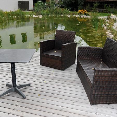 Hotel Geier Bad Schönau 외부 사진