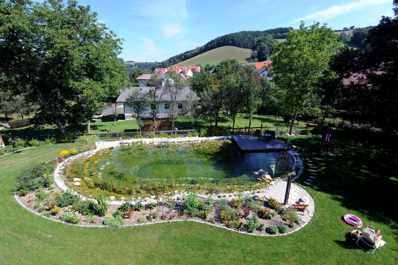 Hotel Geier Bad Schönau 외부 사진
