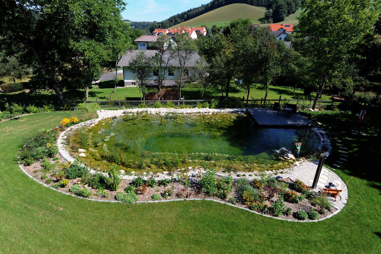 Hotel Geier Bad Schönau 외부 사진