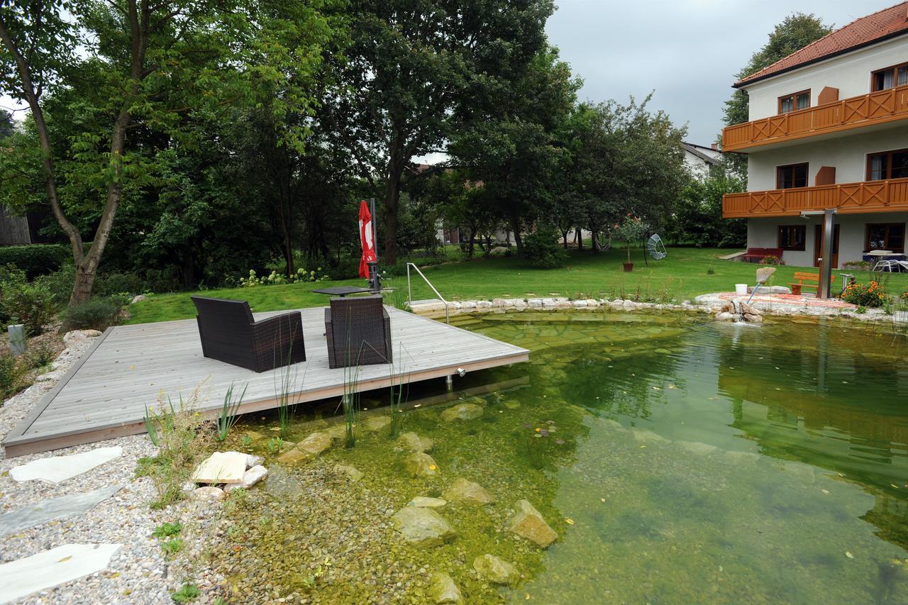 Hotel Geier Bad Schönau 외부 사진